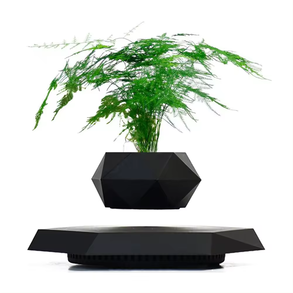 Levitera Pots - Levitating Plant Pots