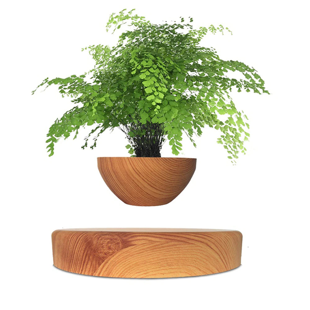 Levitera Pots - Levitating Plant Pots