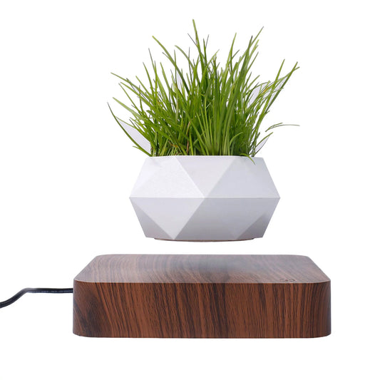 Levitera Pots - Levitating Plant Pots